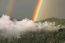 મેઘધનુષ્ય 49 સૂચિ